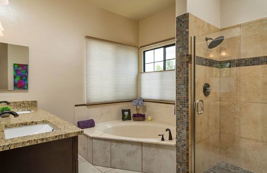 Primary Bath Shot 1