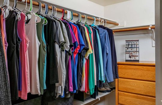Primary Closet