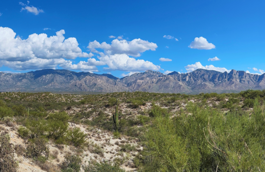 Oro Valley Incredible Views