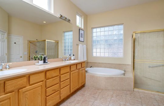 Primary Bath Shot 2