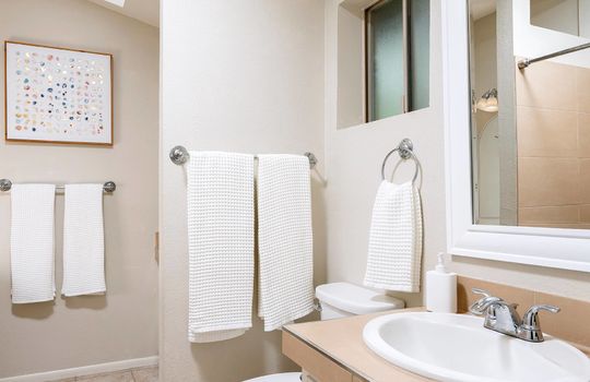 Second Primary Ensuite Bath Shot 1