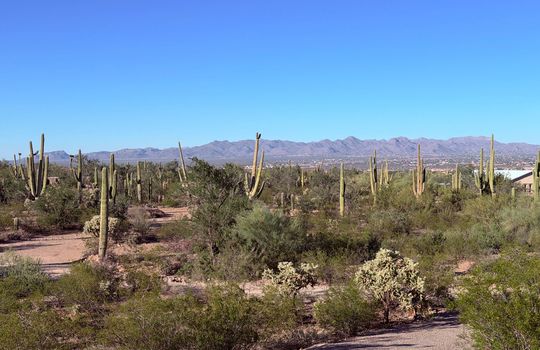 Across the Road- Cleared Area Shot 1