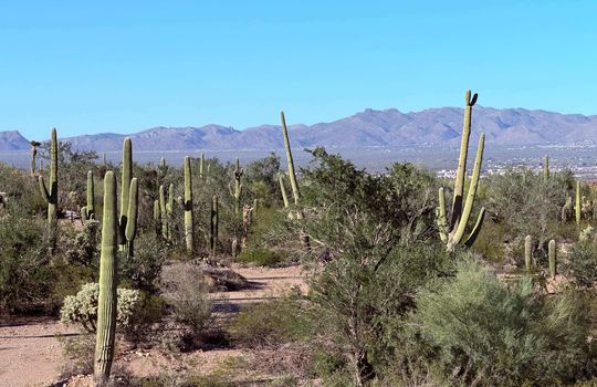 Across the Road- Cleared Area Shot 2