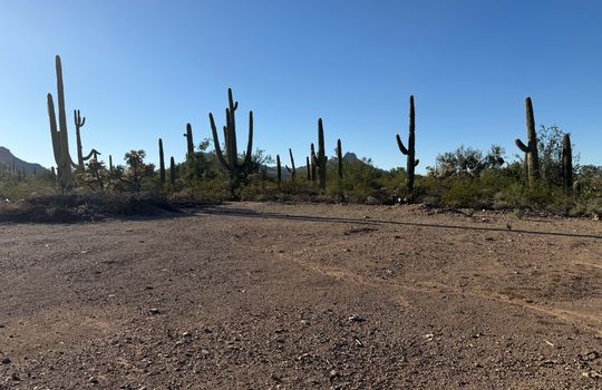 Across the Road- Cleared Area Shot 3