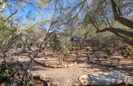 Botanical Garden Shot 2