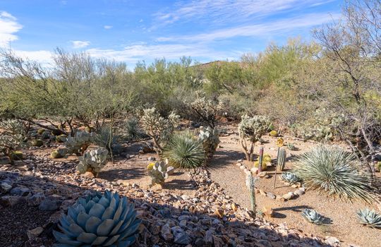 Botanical Garden Shot 3