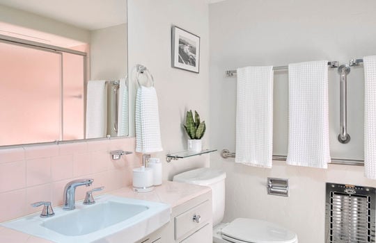 Guest Bath With Walk-In Shower