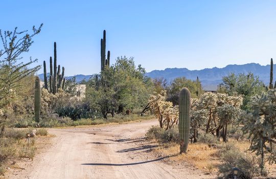 Feels Like Living In The Country—But Convenient To All