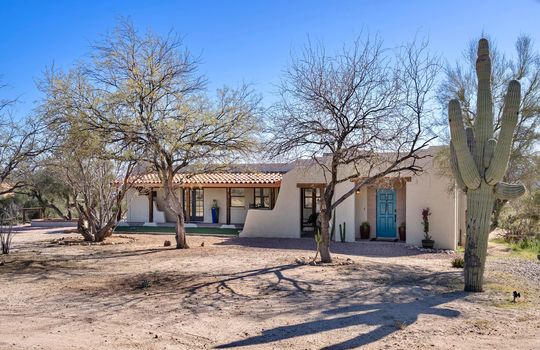 Mature Trees and Cacti All Around