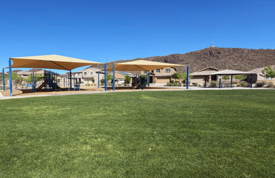 Pocket Park Across The Street