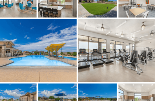 Saguaro Bloom Amenities