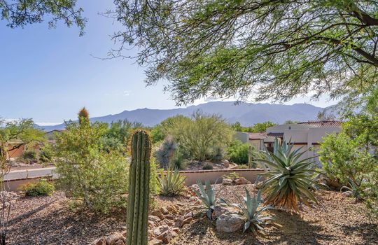 Catalina Mountain Views From The Front Yard