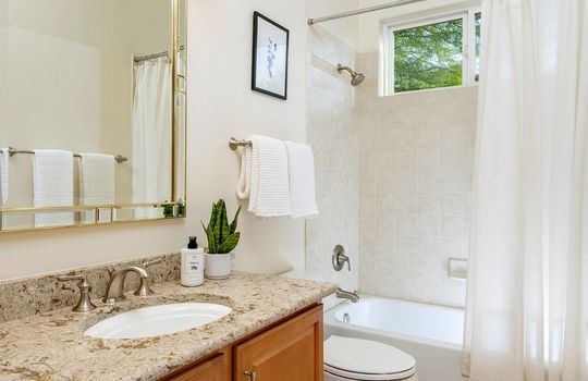 Full Guest Bath