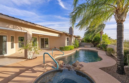 Gorgeous Mature Palms