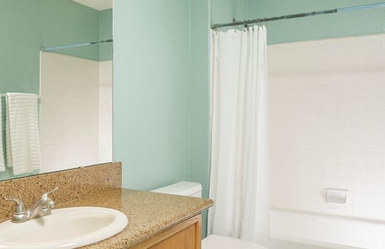 Full Guest Bath