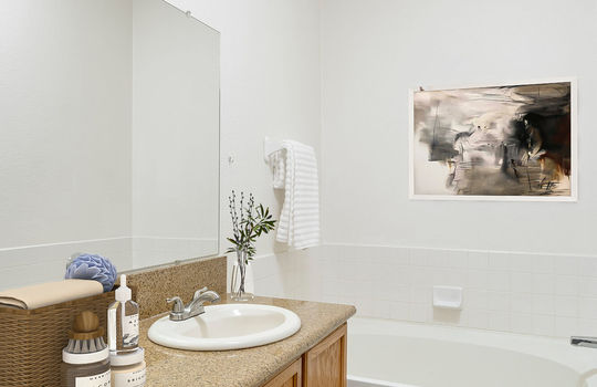 Primary Bath- Digitally Staged