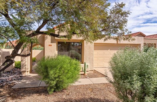 Mature Landscaping