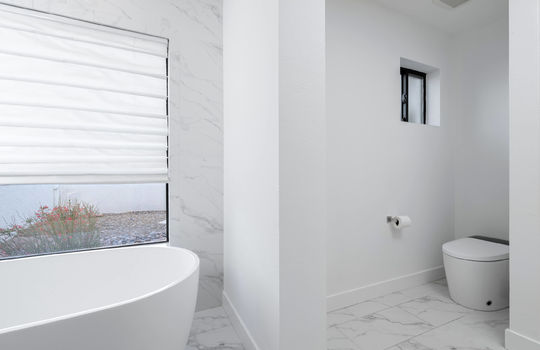 Garden Window and Smart Toilet