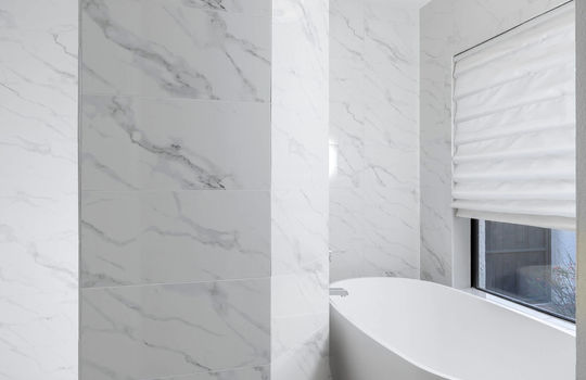 Wrap Walk-In Shower and Soaking Tub