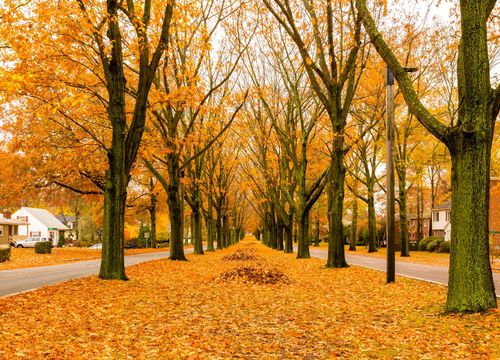 shutterstock_1178119105