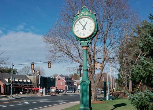 shutterstock_2164241311