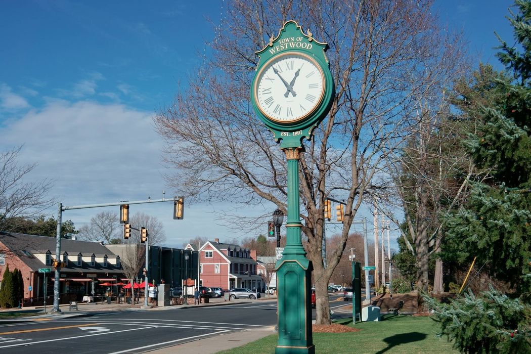 Home The Cobi Real Estate Team