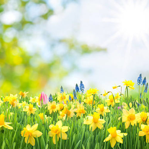 Why Spring Time is Perfect Time to Sell Your Home!