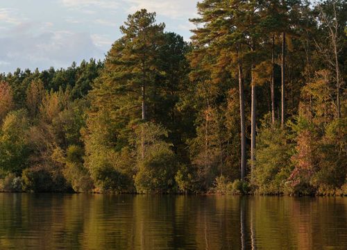 steph-sells-raleigh-area-image-4