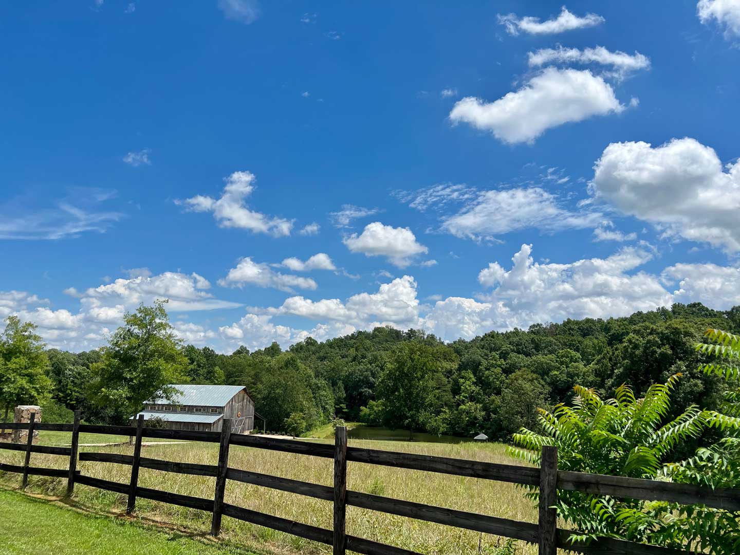 Youngsville The Mann Realty Group