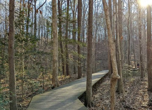 steph-sells-raleigh-area-image-7