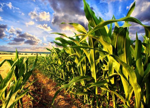 09_Stafford_County_shutterstock_132620504