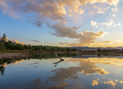 Wheat Ridge 1