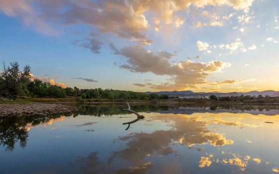 Wheat Ridge