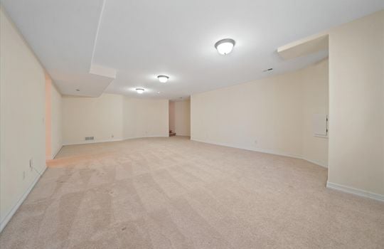 41-Basement Rec Room