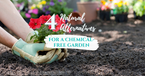 Maintaining a Chemical-Free Garden