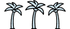 New Palms