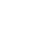 palm-white