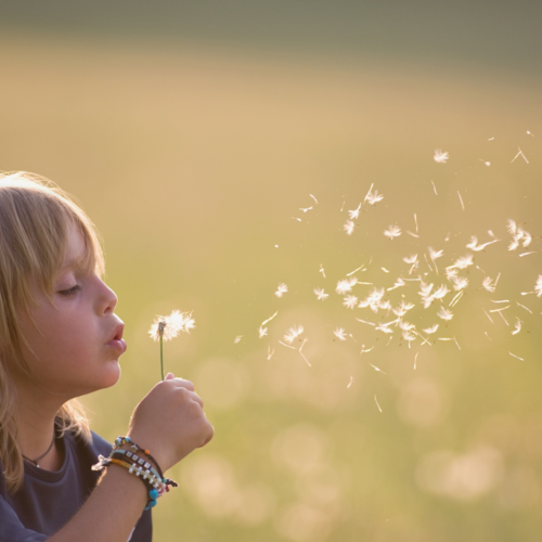 The Weekender April 26 - 27