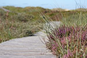 boardwalk-537113_1280