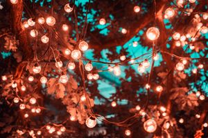 pexels-arts-1124960