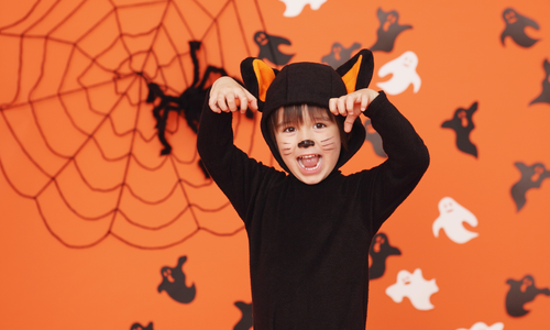 The Weekender November 1 - 2