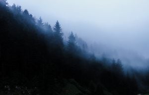 pexels-kaplanart-13367163