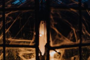 pexels-karola-g-5422603