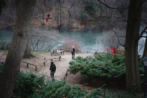 pexels-code-mnml-185553186-35205833