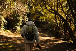 pexels-bilalfurkankosar-19861574