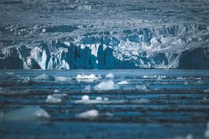 pexels-francesco-ungaro-30429917