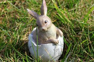 alicja-bunny-3291260_1280