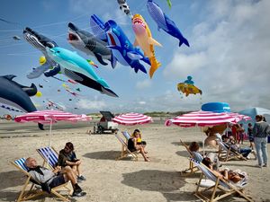 pexels-diehambuergerin-33362274