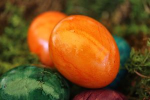 planet_fox-orange-eggs-7107794_1280