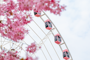 su-jun-ferris-wheel-10179892_1280